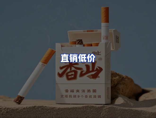 专业团队